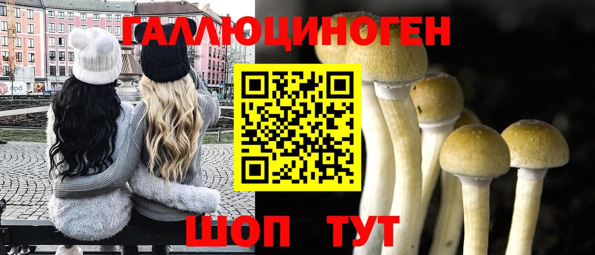 Псилоцибиновые грибы Cubensis  Вход с VPN  Губаха 