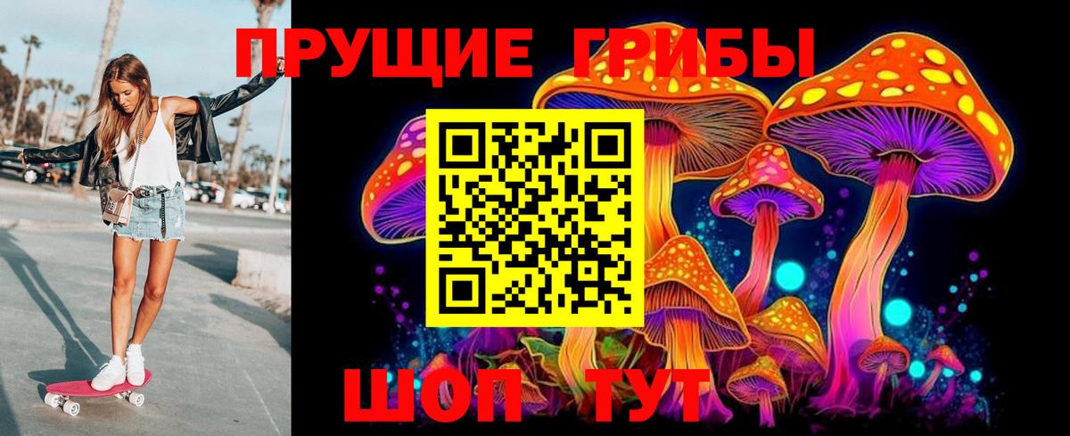 Галлюциногенные грибы MAGIC MUSHROOMS Губаха