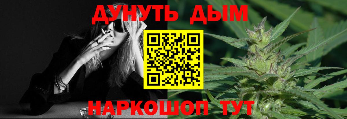 Бошки марихуана гибрид Губаха